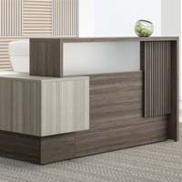Zirra Reception